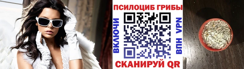 Псилоцибиновые грибы MAGIC MUSHROOMS  мориарти наркотические препараты  Рассказово 